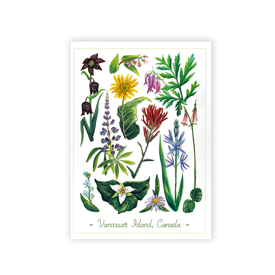 HYC | Postcard 5" x 7"