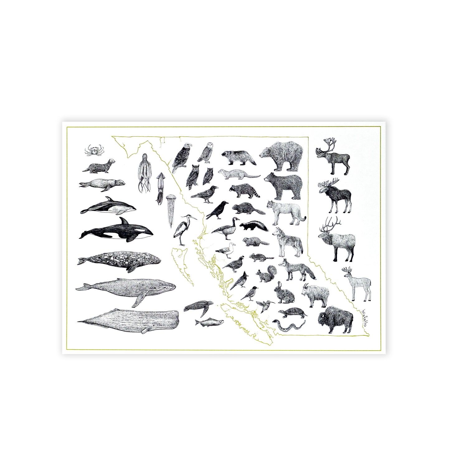 HYC | Postcard 5" x 7"