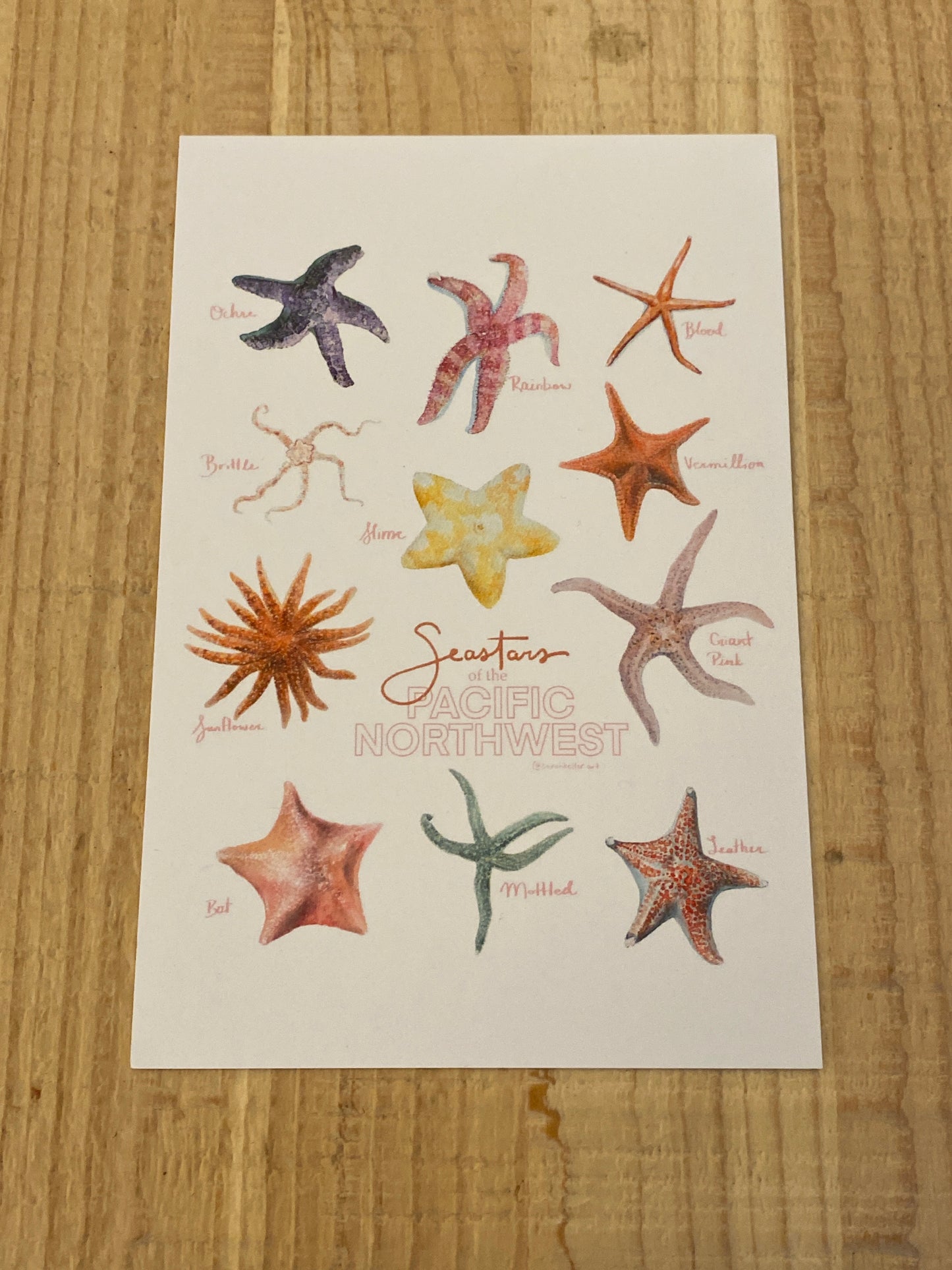 Sarah Keller | Art Post Cards