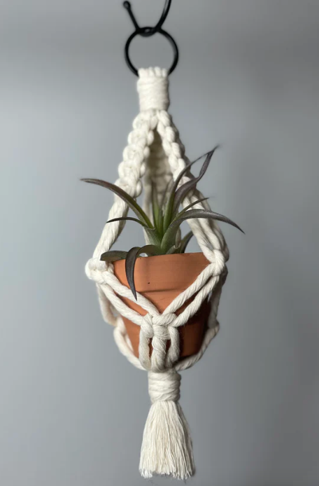 Van Isle Macrame Mini Air Plant Hanger
