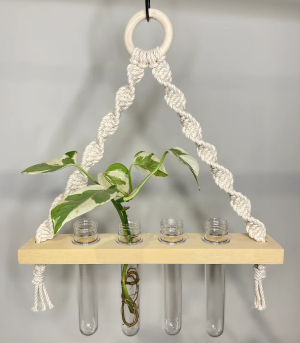 Van Isle Macrame Single Propagation Air Plant Hanger