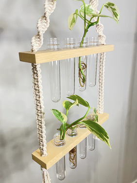 Van Isle Macrame Double Propagation Air Plant Hanger