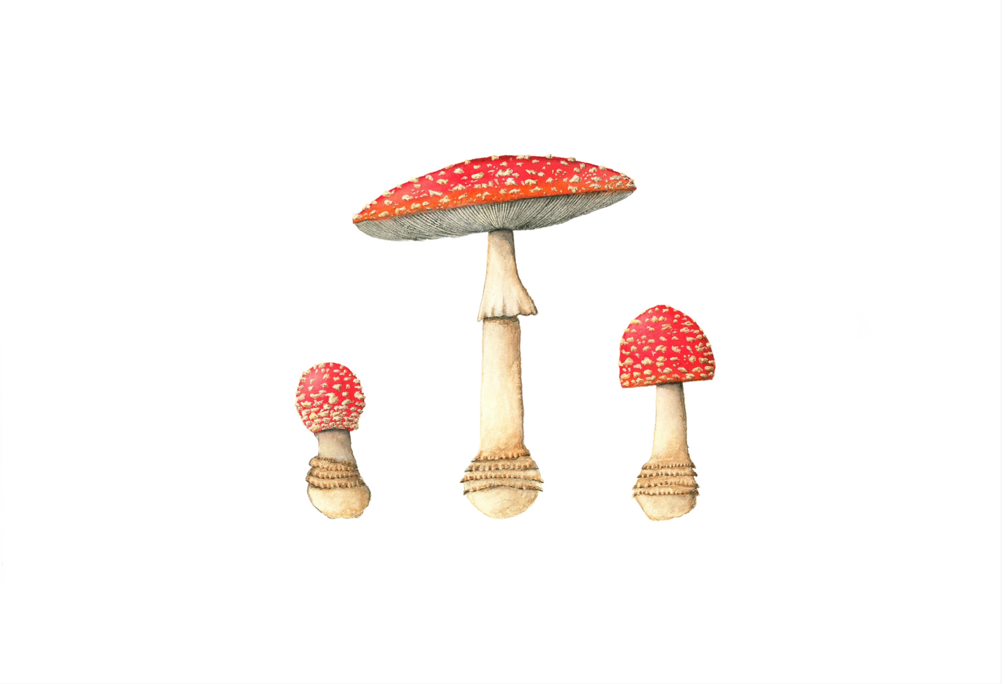 Forel Art | Art Cards