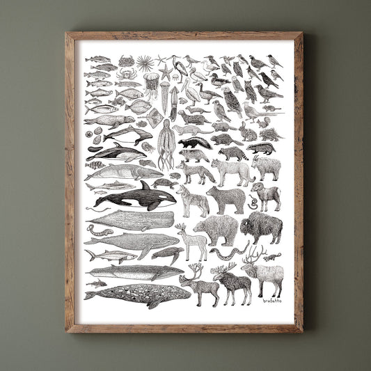 HYC | Art Print 8.5x11”