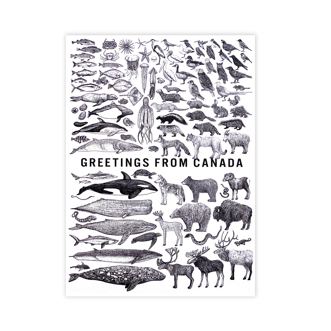 HYC | Postcard 5" x 7"