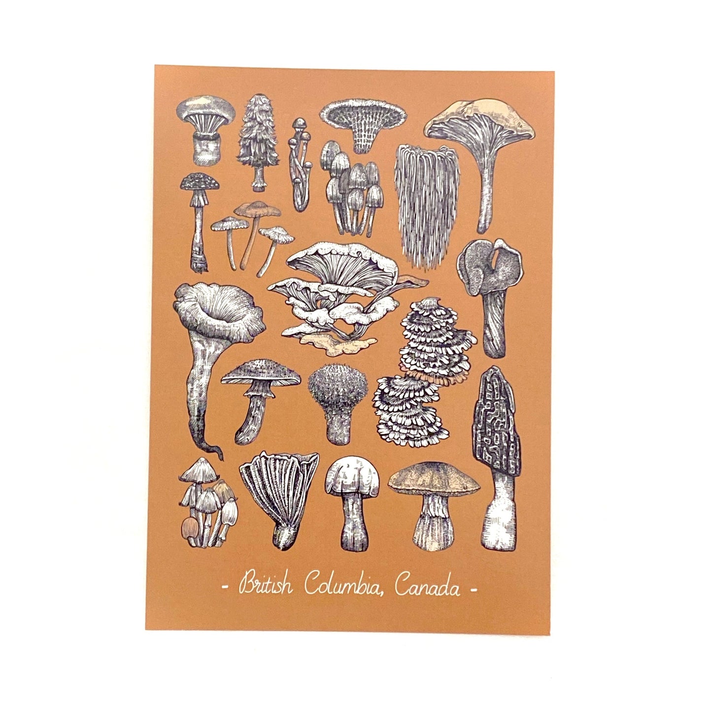 HYC | Postcard 5" x 7"