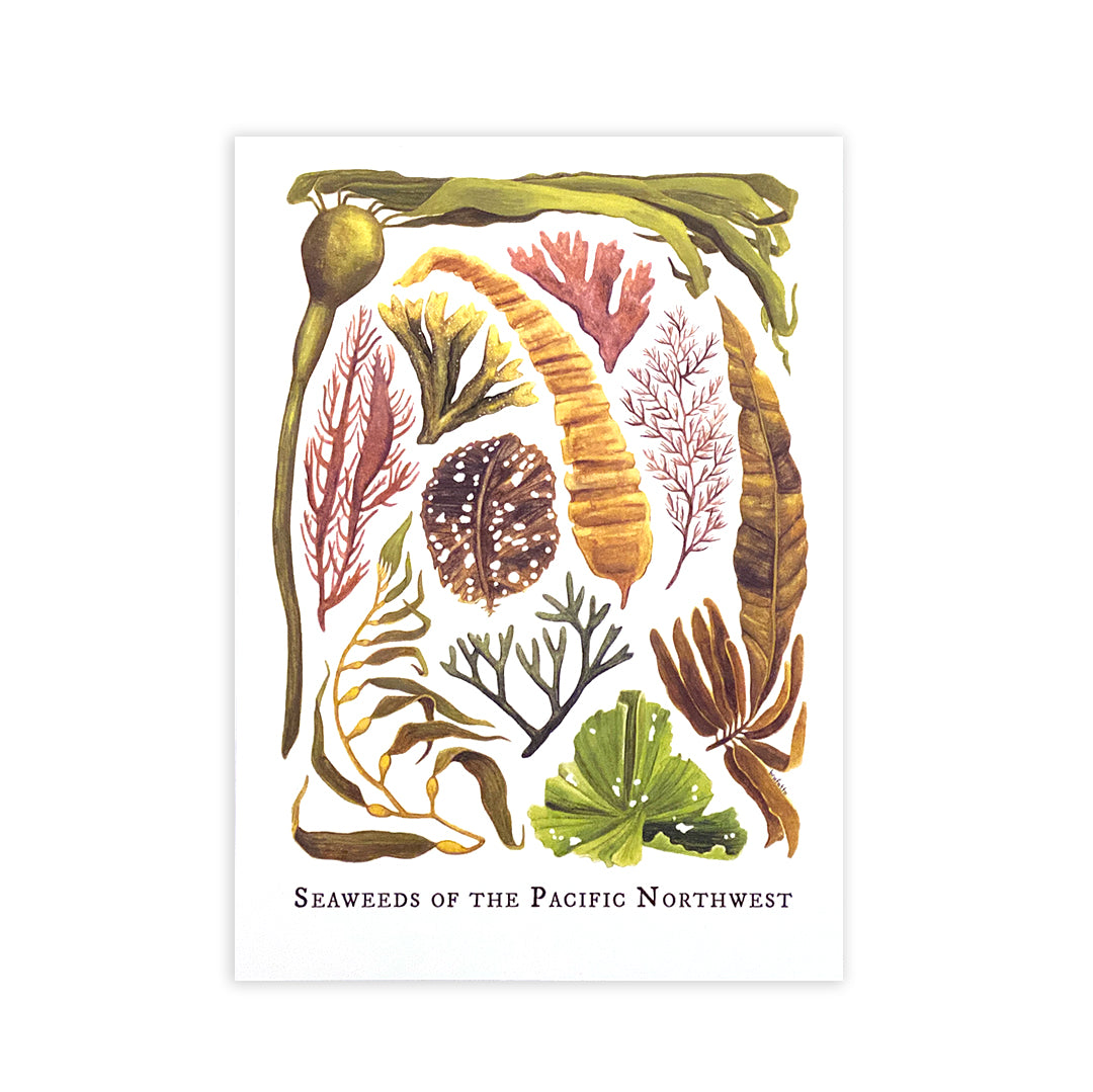 HYC | Postcard 5" x 7"