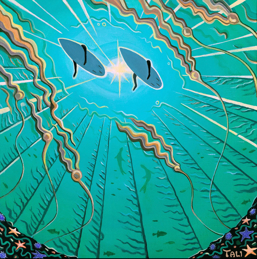 Creatures of the Sun | Greeting Cards