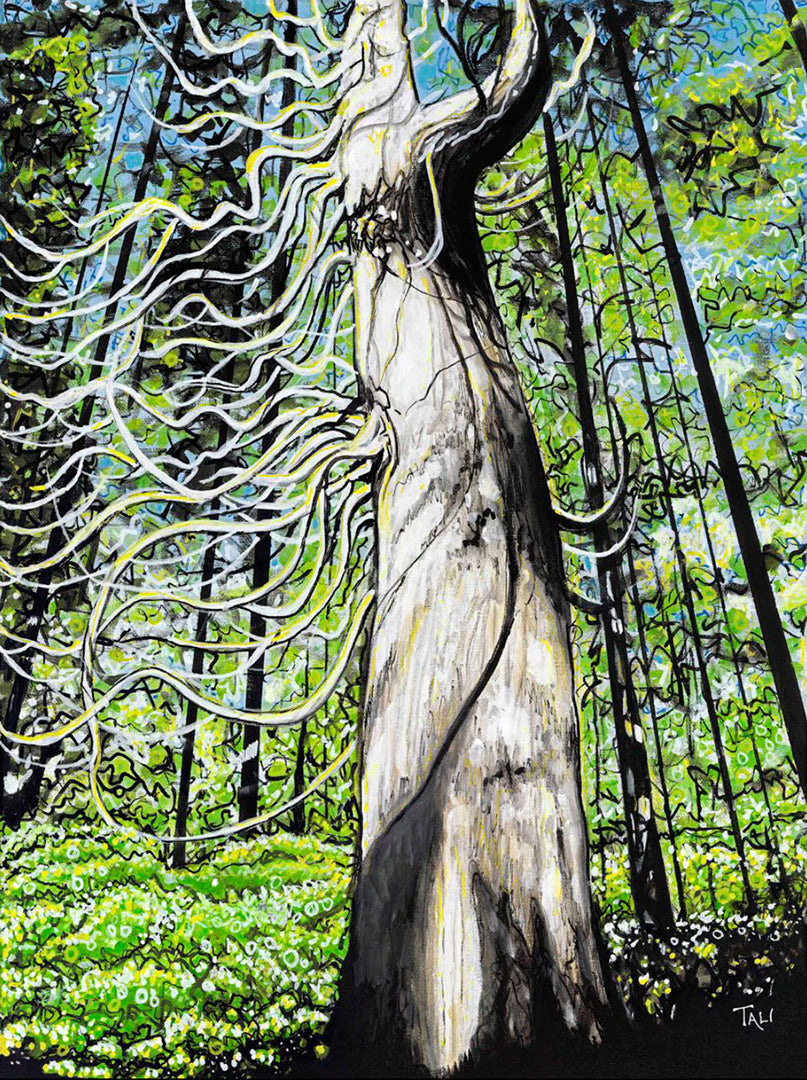 Creatures of the Sun | Greeting Cards