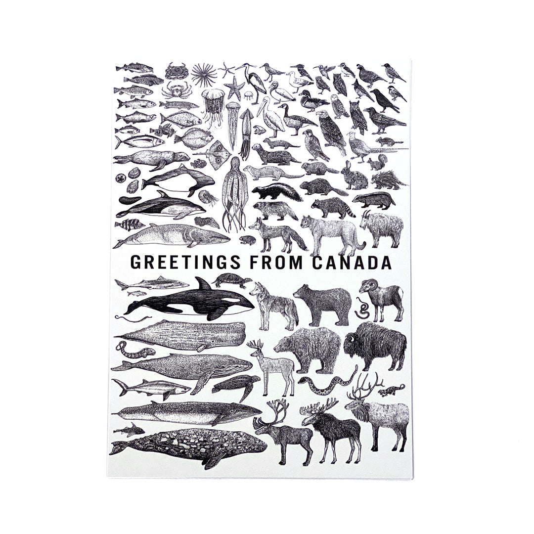 Hello Yellow Canary | Postcards