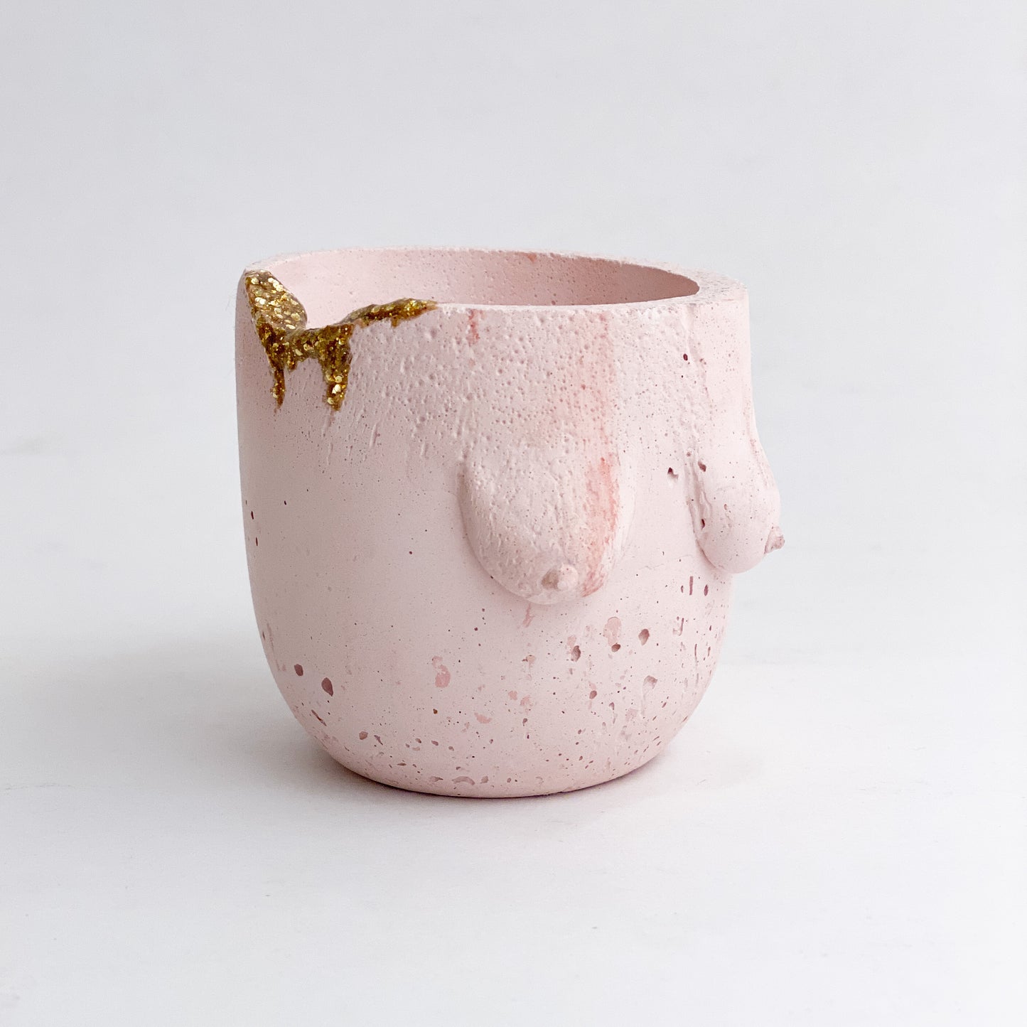 Cold Gold Boob Planter Pot