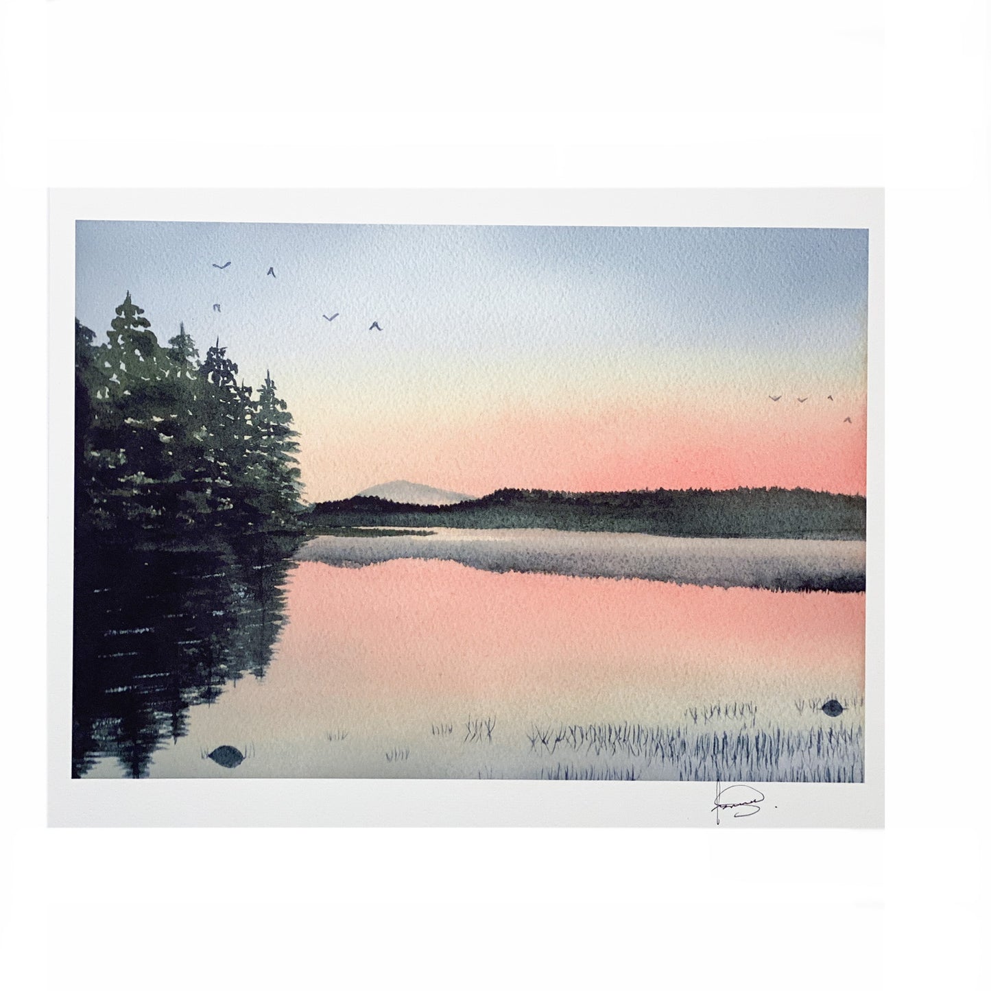 Asmara Sosa | Art Print
