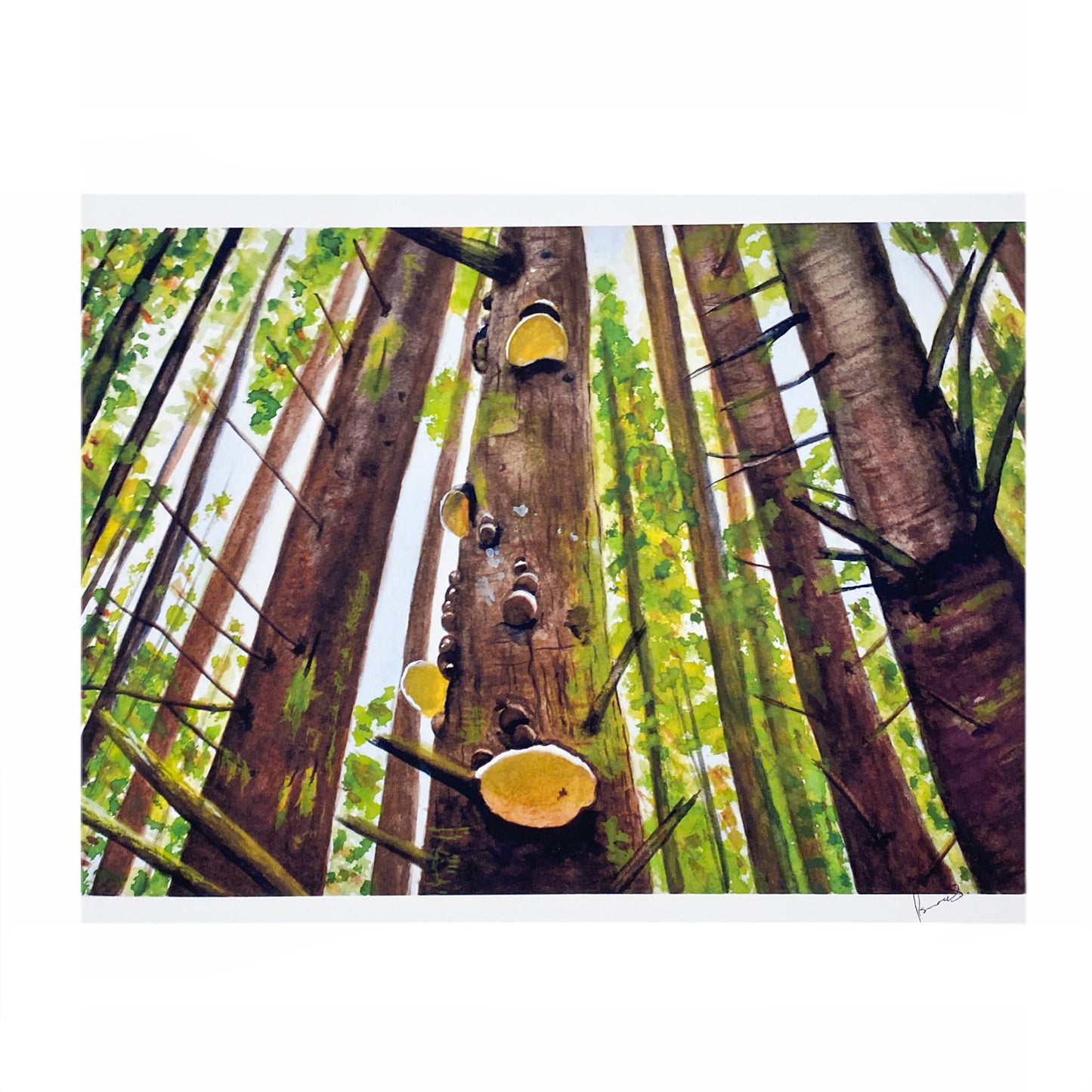 Asmara Sosa | Art Print