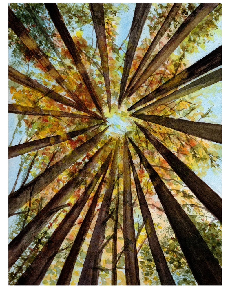 Asmara Sosa | Art Print