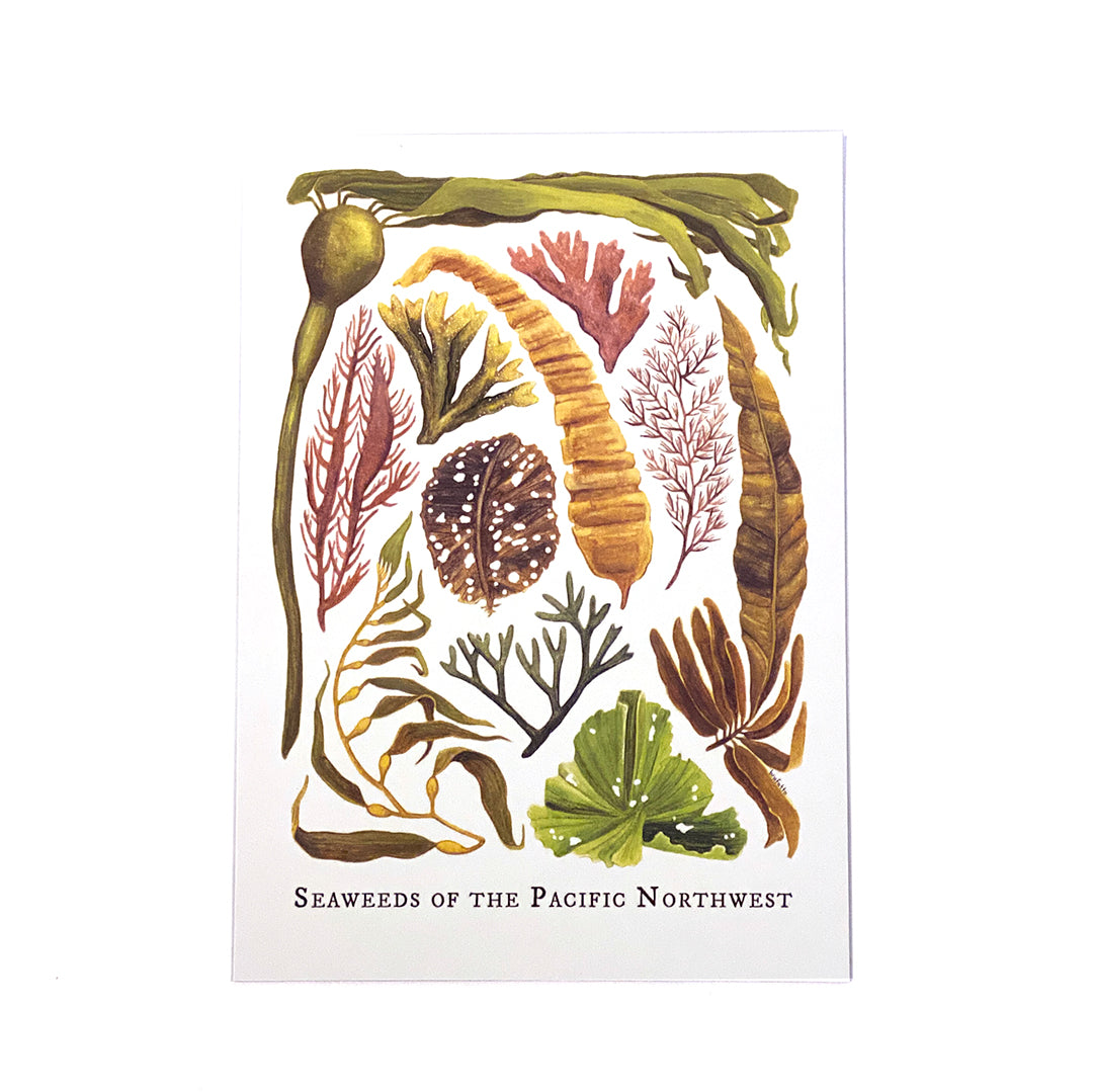 Hello Yellow Canary | Postcards