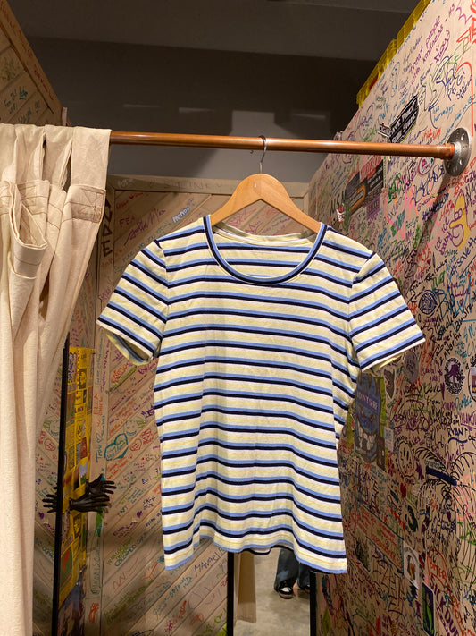 Northern Reflections Large Stripe Blue Yellow Shirt