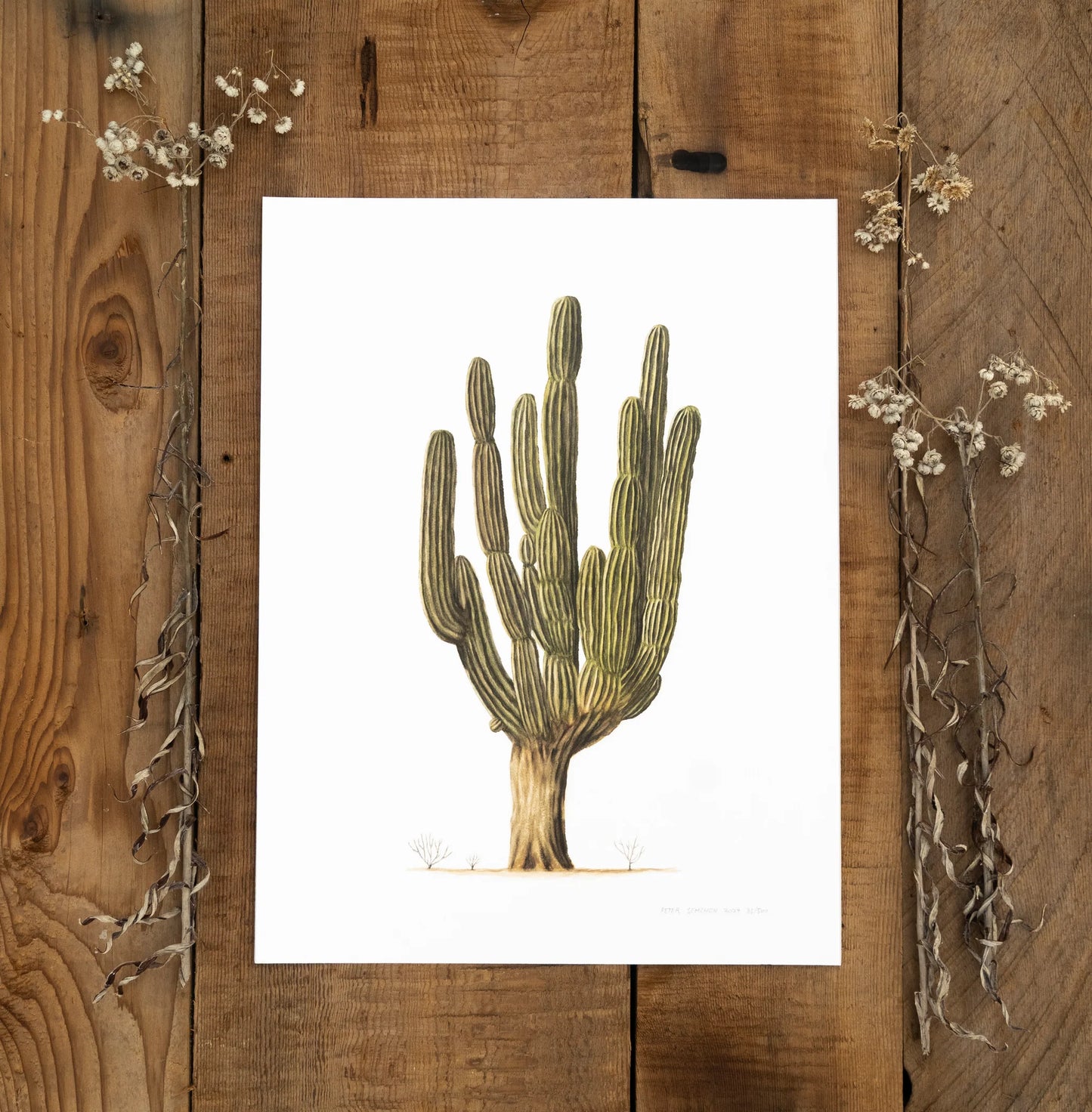 Forel Art | Art Prints