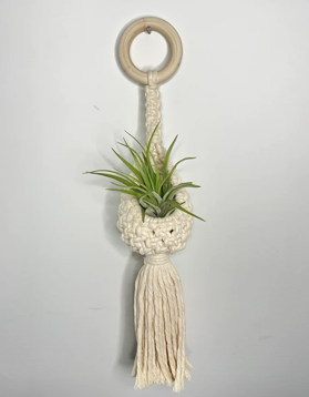 Van Isle Macrame | Air Plant Pod Hanger