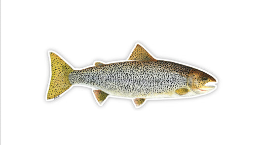 Forel Art | 4” Stickers