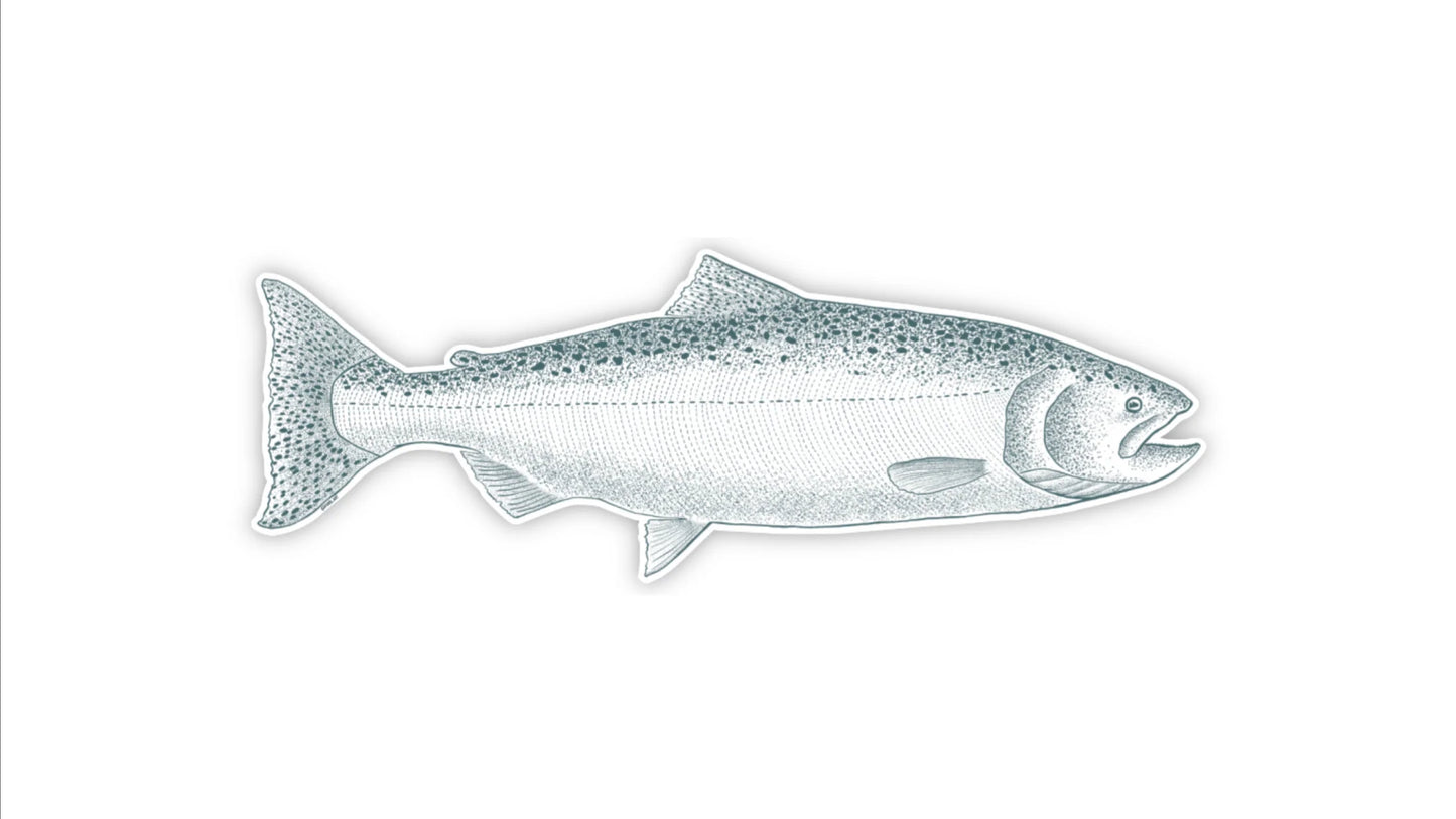 Forel Art | 4” Stickers