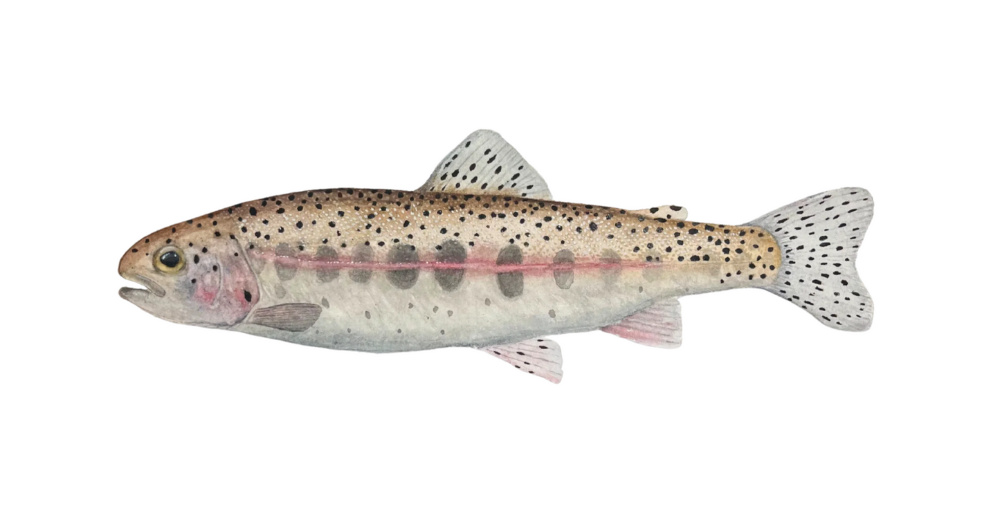 Forel Art | Stickers