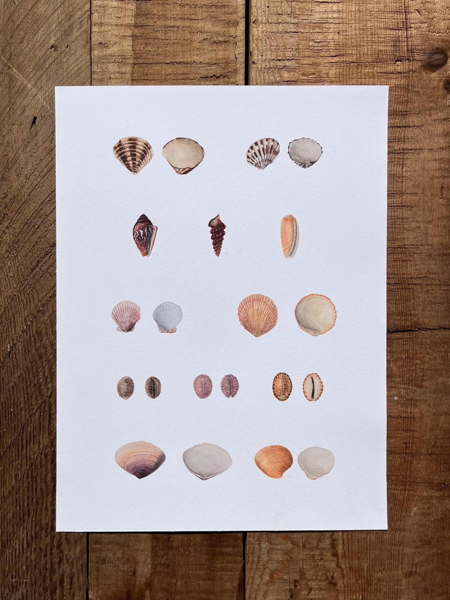 Forel Art | Art Prints