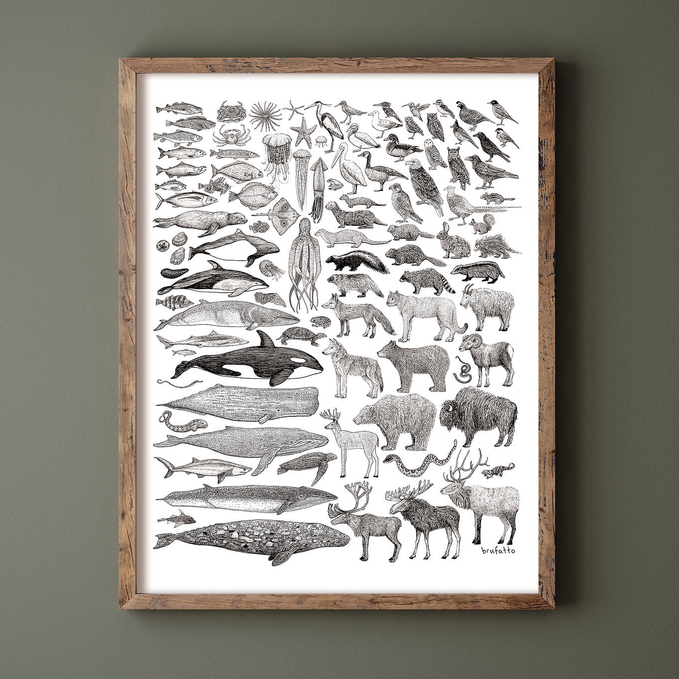 HYC | Art Print 11” x 14”