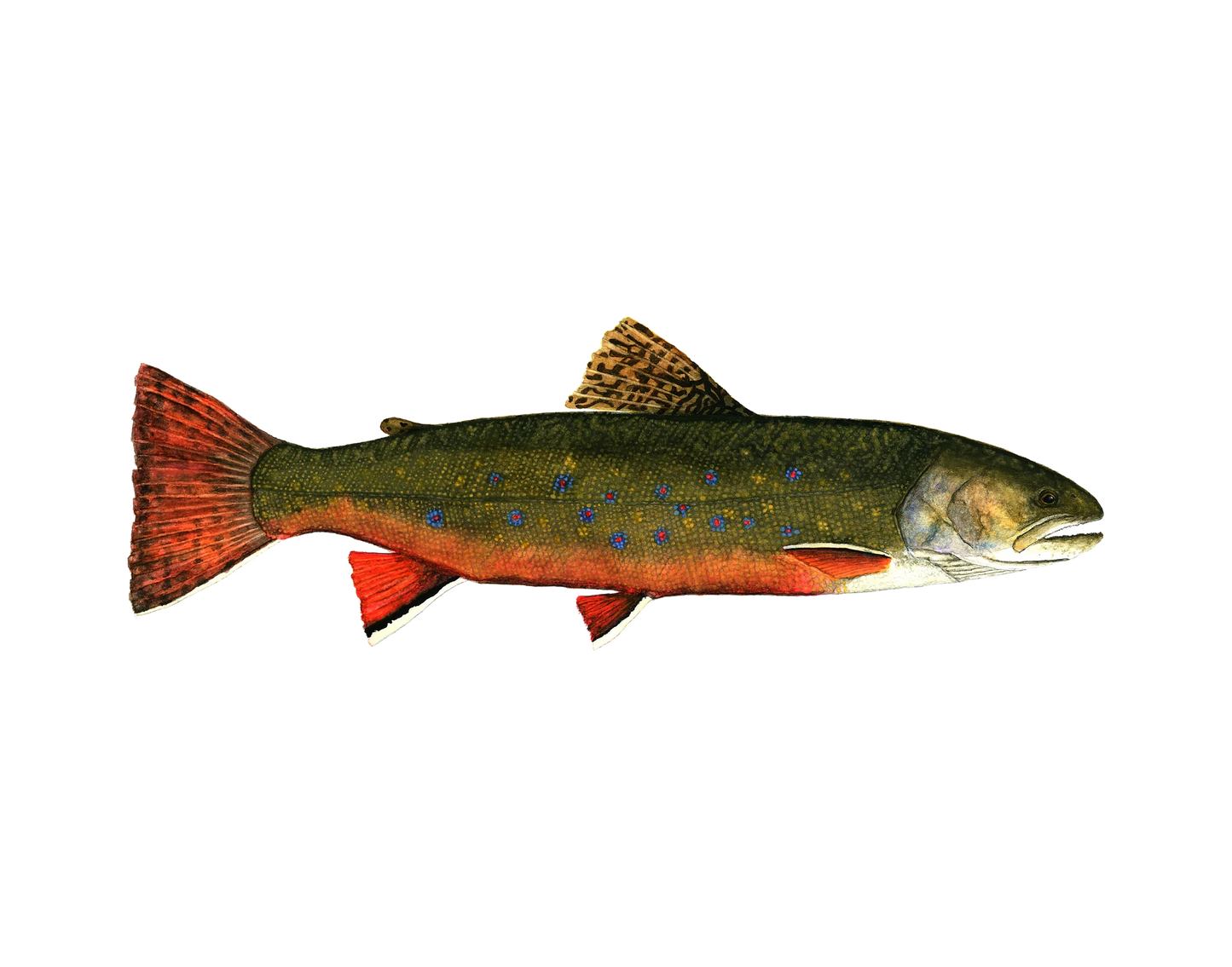Forel Art | Art Prints