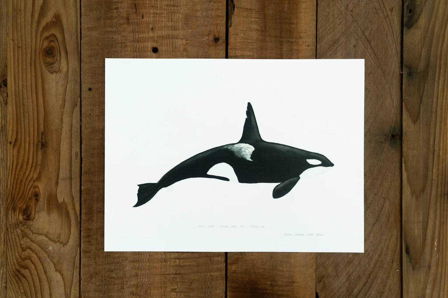 Forel Art | Art Prints