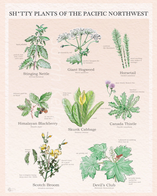 Sarah Keller | Art Prints 11" x 14"