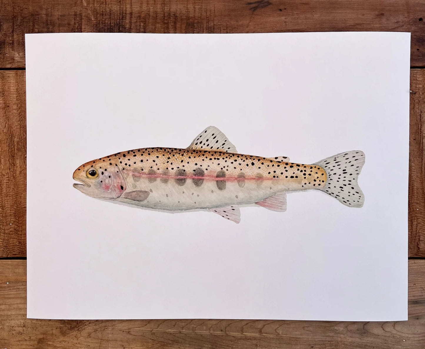 Forel Art | Art Prints